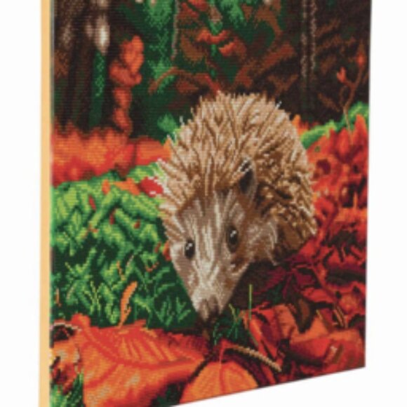 Crystal Art Mounted Kit (Lg): Hedgehog - Picture 1 of 1